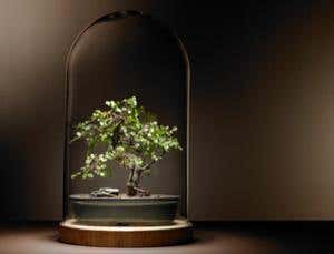 New Scientist. Science news and long reads from expert journalists, covering developments in science, technology, health and the environment on the website and the magazine.