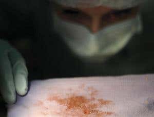 New Scientist. Science news and long reads from expert journalists, covering developments in science, technology, health and the environment on the website and the magazine.