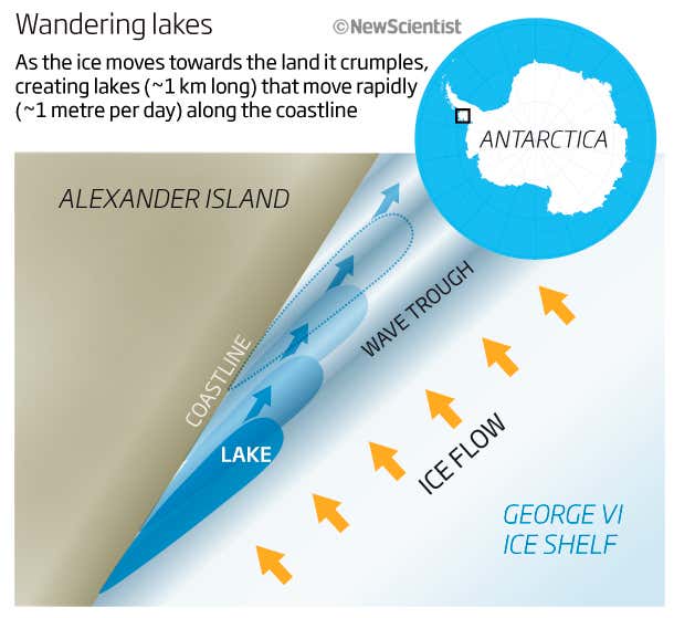 New Scientist. Science news and long reads from expert journalists, covering developments in science, technology, health and the environment on the website and the magazine.