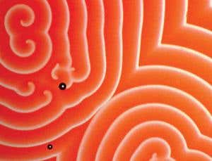 Impossible chemistry: Having entropy both ways