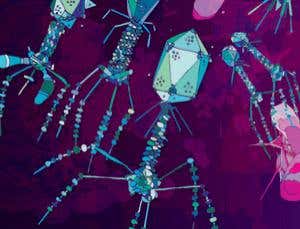 New Scientist. Science news and long reads from expert journalists, covering developments in science, technology, health and the environment on the website and the magazine.