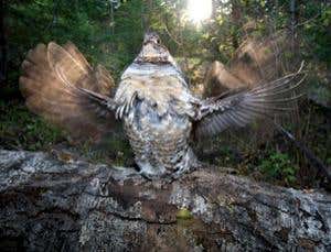 New Scientist. Science news and long reads from expert journalists, covering developments in science, technology, health and the environment on the website and the magazine.