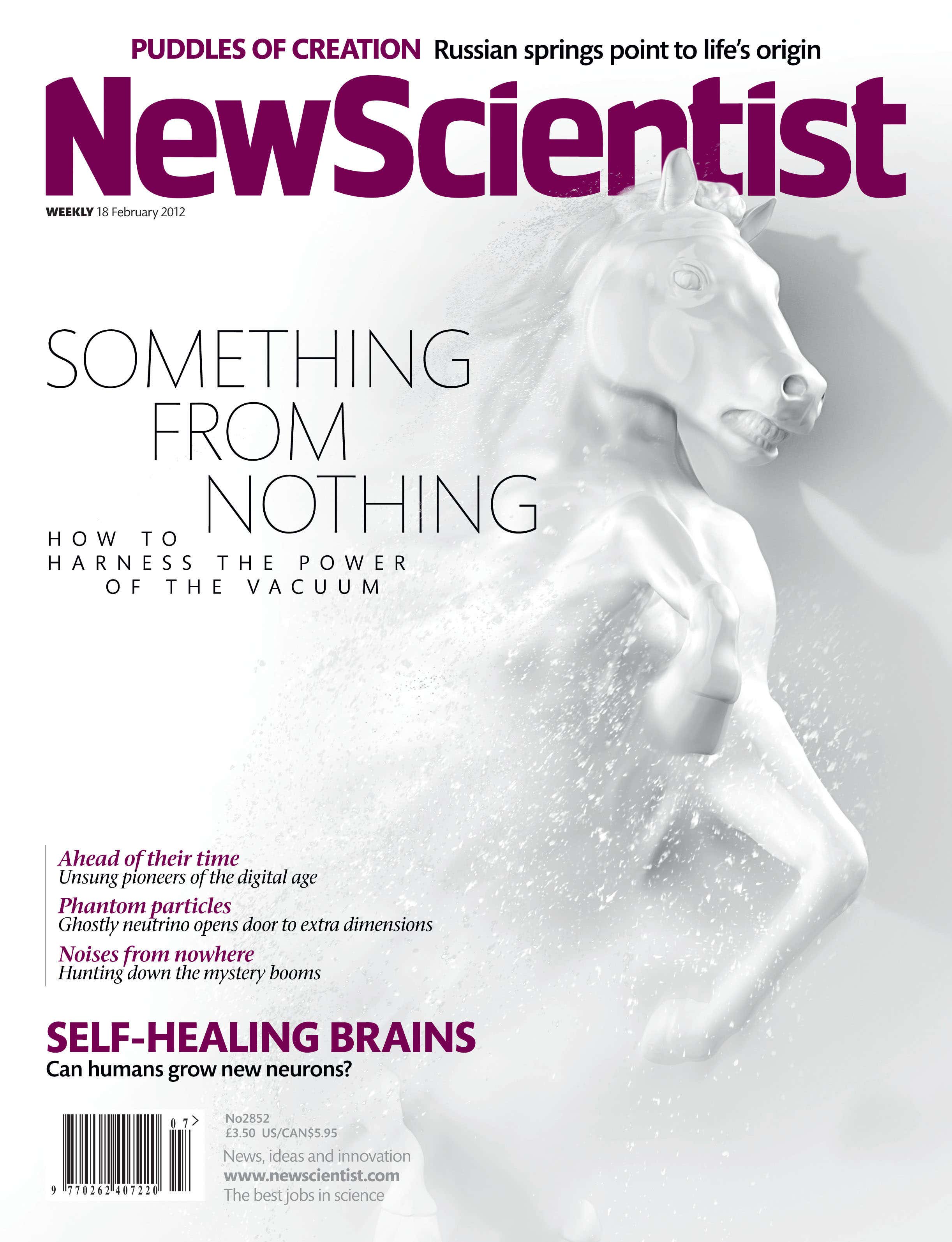 New Scientist issue 2852 cover