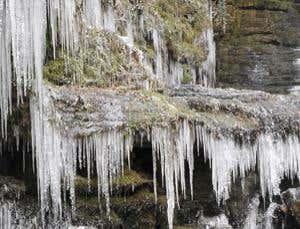 New Scientist. Science news and long reads from expert journalists, covering developments in science, technology, health and the environment on the website and the magazine.