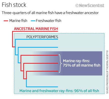 New Scientist. Science news and long reads from expert journalists, covering developments in science, technology, health and the environment on the website and the magazine.