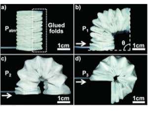 Paper robots could have a strong, gentle touch
