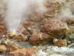 New Scientist. Science news and long reads from expert journalists, covering developments in science, technology, health and the environment on the website and the magazine.