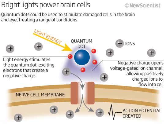 New Scientist. Science news and long reads from expert journalists, covering developments in science, technology, health and the environment on the website and the magazine.