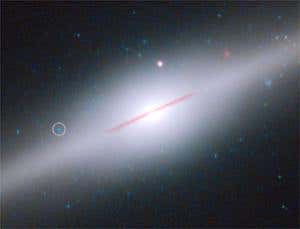 New Scientist. Science news and long reads from expert journalists, covering developments in science, technology, health and the environment on the website and the magazine.