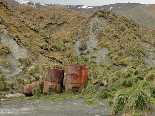 Penguin digesters on Macquarie Island – used for boiling the fat off king penguins