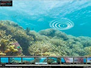 An example of a virtual dive in action 