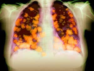 New Scientist. Science news and long reads from expert journalists, covering developments in science, technology, health and the environment on the website and the magazine.