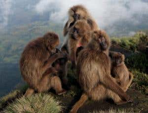 New Scientist. Science news and long reads from expert journalists, covering developments in science, technology, health and the environment on the website and the magazine.