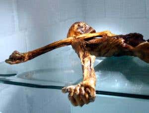 New Scientist. Science news and long reads from expert journalists, covering developments in science, technology, health and the environment on the website and the magazine.