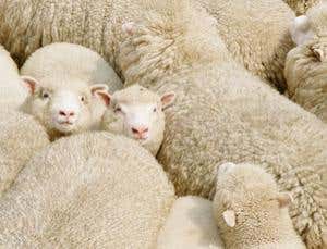 New Scientist. Science news and long reads from expert journalists, covering developments in science, technology, health and the environment on the website and the magazine.