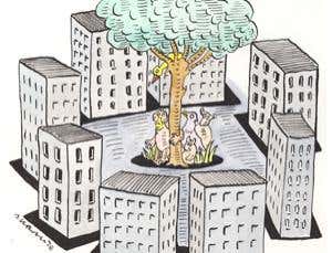 New Scientist. Science news and long reads from expert journalists, covering developments in science, technology, health and the environment on the website and the magazine.