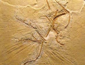 New Scientist. Science news and long reads from expert journalists, covering developments in science, technology, health and the environment on the website and the magazine.