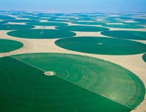 New Scientist. Science news and long reads from expert journalists, covering developments in science, technology, health and the environment on the website and the magazine.