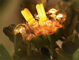 Power plants: Grow your own electricity