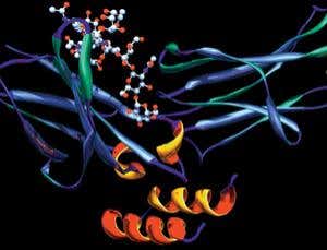 New Scientist. Science news and long reads from expert journalists, covering developments in science, technology, health and the environment on the website and the magazine.