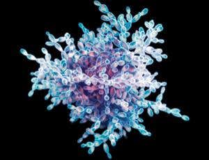 New Scientist. Science news and long reads from expert journalists, covering developments in science, technology, health and the environment on the website and the magazine.