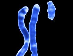 New Scientist. Science news and long reads from expert journalists, covering developments in science, technology, health and the environment on the website and the magazine.