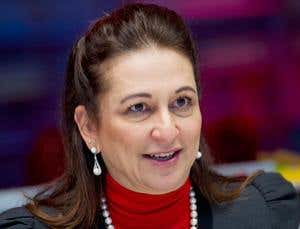 New forest law may doom South American jewel