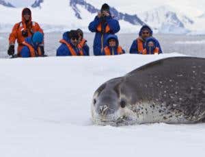 Seedy scientists are polluting Antarctica