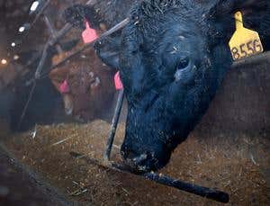 New Scientist. Science news and long reads from expert journalists, covering developments in science, technology, health and the environment on the website and the magazine.