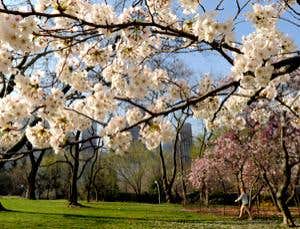 New Scientist. Science news and long reads from expert journalists, covering developments in science, technology, health and the environment on the website and the magazine.