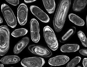 New Scientist. Science news and long reads from expert journalists, covering developments in science, technology, health and the environment on the website and the magazine.