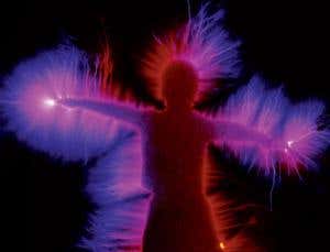 Exotic electrical effect pops up in soft mammalian tissue