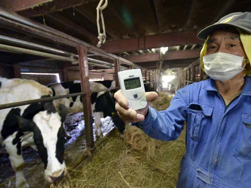 Dairy farmer Masakatsu Kosone holding a Geiger counter to check for radiation at his farm in the villiage of Katsurao, Fukushima prefecture, 25 kilometres west of the stricken nuclear power plant last May