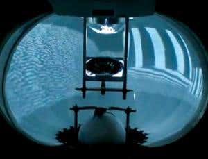 New Scientist. Science news and long reads from expert journalists, covering developments in science, technology, health and the environment on the website and the magazine.