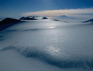 New Scientist. Science news and long reads from expert journalists, covering developments in science, technology, health and the environment on the website and the magazine.