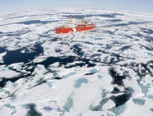 New Scientist. Science news and long reads from expert journalists, covering developments in science, technology, health and the environment on the website and the magazine.