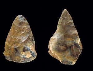 Puzzles of Evolution: Why was technological development so slow?