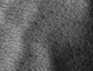 Puzzles of evolution: Why did we lose our fur?