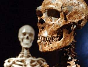 Puzzles of evolution: Are some of us hybrids?