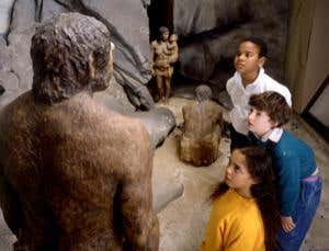 New Scientist. Science news and long reads from expert journalists, covering developments in science, technology, health and the environment on the website and the magazine.