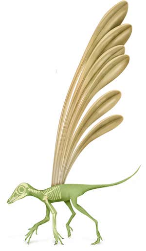 Reptile grew feather-like structures before dinosaurs