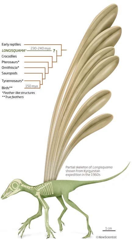 New Scientist. Science news and long reads from expert journalists, covering developments in science, technology, health and the environment on the website and the magazine.
