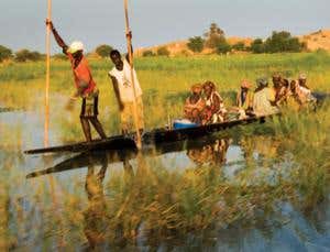 New Scientist. Science news and long reads from expert journalists, covering developments in science, technology, health and the environment on the website and the magazine.