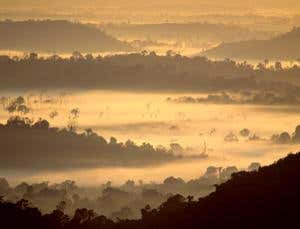 New Scientist. Science news and long reads from expert journalists, covering developments in science, technology, health and the environment on the website and the magazine.