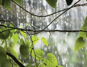 New Scientist. Science news and long reads from expert journalists, covering developments in science, technology, health and the environment on the website and the magazine.