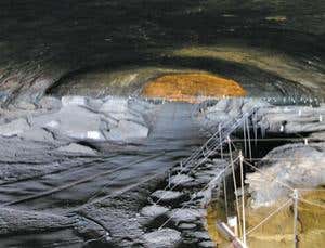 New Scientist. Science news and long reads from expert journalists, covering developments in science, technology, health and the environment on the website and the magazine.