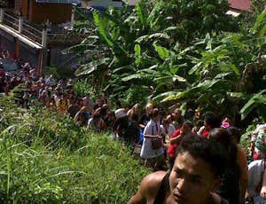 New Scientist. Science news and long reads from expert journalists, covering developments in science, technology, health and the environment on the website and the magazine.