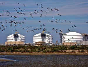 US to export gas as glut slashes prices