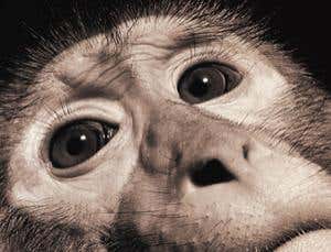 New Scientist. Science news and long reads from expert journalists, covering developments in science, technology, health and the environment on the website and the magazine.