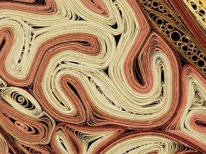 Body tissues: slices of life in paper